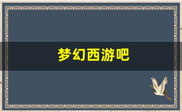 梦幻西游吧 (11)
