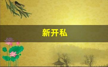 新开私(新开私人影院) (4)