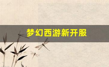 梦幻西游新开服 (2)