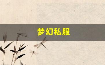 梦幻私服(梦幻手游私sf平台) (16)