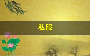 梦幻西游发布网：私服