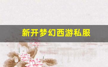 新开梦幻西游私服 (12)