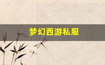 梦幻西游私服(梦幻西游官方官网)