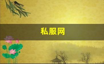 梦幻西游公益服发布网：私服网(手游私sf平台) (16)