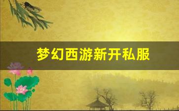 梦幻西游新开私服 (18)
