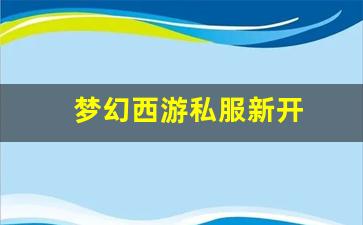 梦幻西游私服新开 (14)