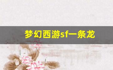 梦幻西游sf一条龙 (9)