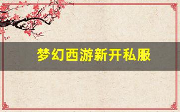 梦幻西游新开私服 (12)