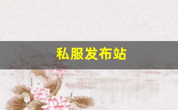 梦幻西游工具箱：私服发布站 (20)