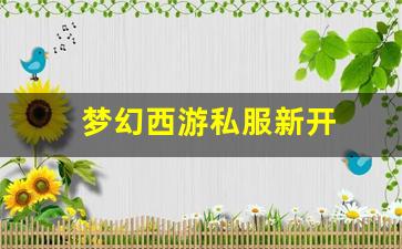 梦幻西游私服新开(梦幻西游手游吧) (12)