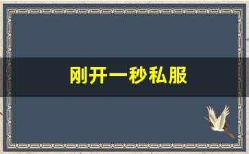 刚开一秒私服(最新开的新开一秒传奇) (3)