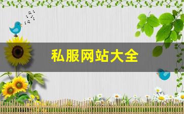 新开梦幻西游私服：私服网站大全 (4)