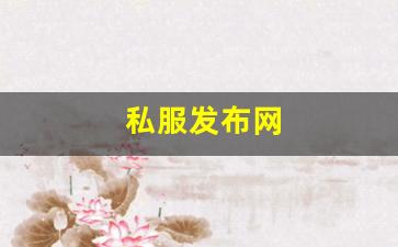 私服发布网：私服发布网(sf999传奇新
