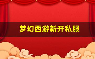 梦幻西游新开私服 (5)