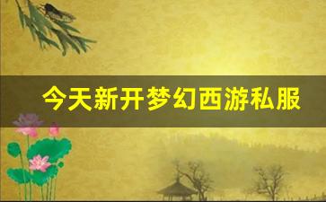 今天新开梦幻西游私服(梦幻西游手游吧) (20)