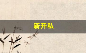 最新梦幻西游私服网：新开私(新开私人仓库) (4)