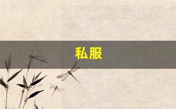 私服(荒野乱斗私人服破解版下载) (4)