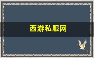 梦幻西游sf一条龙：西游私服网(西游游戏网) (5)