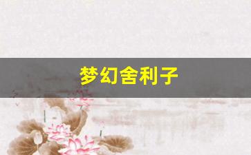 梦幻舍利子(梦幻舍利子多少钱一粒) (10)