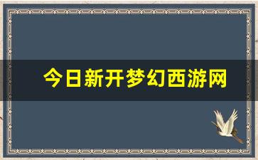 梦幻西游私服网：今日新开梦幻西游网(新开梦幻西游发布网) (3)