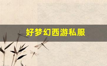 梦幻西游新开服：好梦幻西游私服(梦幻西游手游) (16)