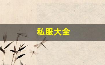 新开sf发布网：私服大全 (6)