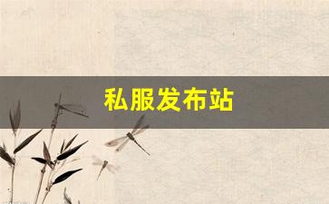 梦幻西游口袋版：私服发布站 (17)