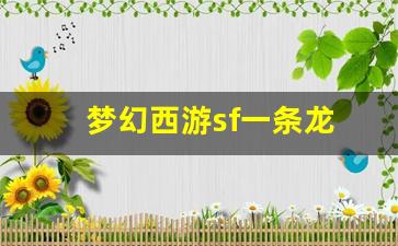 梦幻西游sf一条龙(梦幻西游开服一条龙)