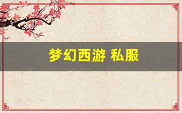 梦幻西游 私服(梦幻西游sf发布网) (10)