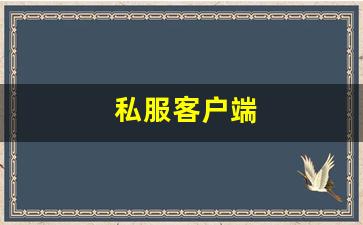 梦幻159：私服客户端 (14)