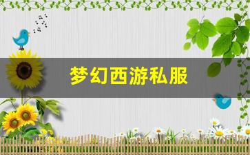 梦幻西游私服(梦幻西游sf发布网) (2)