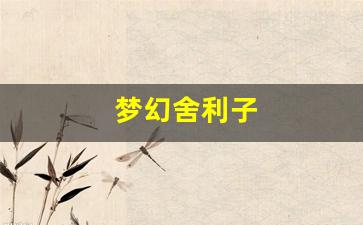 梦幻舍利子(梦幻舍利子多少钱一粒) (11)